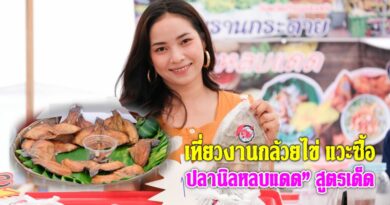 เที่ยวงานสารทไทยกล้วยไข่ แวะชิม โกหม่อง “ปลานิลหลบแดด” สูตรเด็ด ไม่คาว อร่อย เที่ยวงานสารทไทยกล้วยไข่ แวะชิม โกหม่อง “ปลานิลหลบแดด” สูตรเด็ด ไม่คาว อร่อย