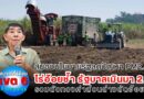 ไร่อ้อยช้ำ รัฐบาลเมินมา 2 ปี รวมตัวทวงค่าส่วนต่างตัดอ้อยสด สนองนโยบายลดปัญหา PM2.5