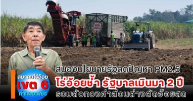 ไร่อ้อยช้ำ รัฐบาลเมินมา 2 ปี รวมตัวทวงค่าส่วนต่างตัดอ้อยสด สนองนโยบายลดปัญหา PM2.5