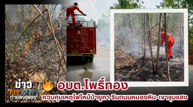 🔥 อบต.โพธิ์ทอง เร่งควบคุมเหตุไฟไหม้ป่ายูคา ริมถนนหนองหิน–เขาชุมแสง ปลอดภัยไร้ผู้บาดเจ็บ
