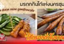 สืบสานตำนาน “ไส้กรอกถั่วโบราณ” มรดกกินได้แห่งนครชุม!