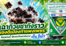 ร้อนแบบนี้ ชวนชิม…! “เฉาก๊วยชากังราว”ของดีเมืองกำแพงเพชร เหนียว หนึบ นุ่ม เย็นชื่นใจ