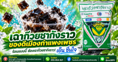 ร้อนแบบนี้ ชวนชิม…! “เฉาก๊วยชากังราว”ของดีเมืองกำแพงเพชร เหนียว หนึบ นุ่ม เย็นชื่นใจ