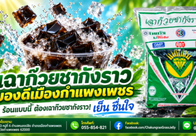ร้อนแบบนี้ ชวนชิม…! “เฉาก๊วยชากังราว”ของดีเมืองกำแพงเพชร เหนียว หนึบ นุ่ม เย็นชื่นใจ