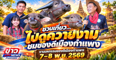 กำแพงเพชรจัดใหญ่! รวมสุดยอดควายงามทั่วประเทศ 38 รุ่น ชิงถ้วยพระราชทาน ในมหกรรมของดีเมืองกำแพง