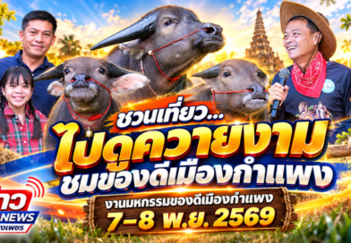 กำแพงเพชรจัดใหญ่! รวมสุดยอดควายงามทั่วประเทศ 38 รุ่น ชิงถ้วยพระราชทาน ในมหกรรมของดีเมืองกำแพง