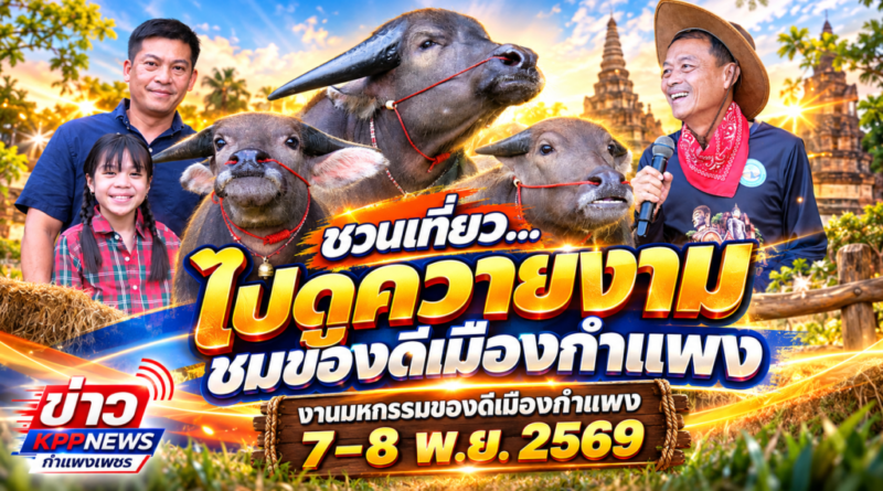 กำแพงเพชรจัดใหญ่! รวมสุดยอดควายงามทั่วประเทศ 38 รุ่น ชิงถ้วยพระราชทาน ในมหกรรมของดีเมืองกำแพง