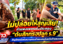 ไม่ปล่อยให้สูญเสีย! กำแพงเพชรเร่งประคอง “ต้นสักทรงปลูก ร.9” สัญลักษณ์แห่งความทรงจำของคนทั้งจังหวัดกำแพงเพชร